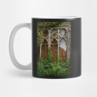 Grungy Window Mug